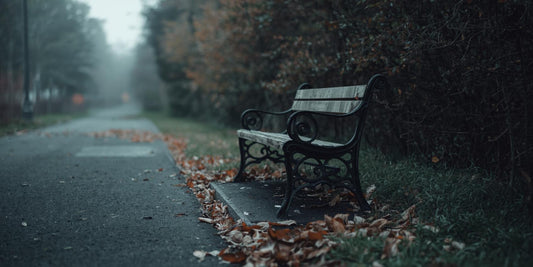 The Walk I Took Alone - Abide and Reflect