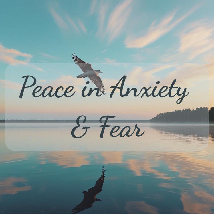 Peace in Anxiety & Fear - Abide and Reflect