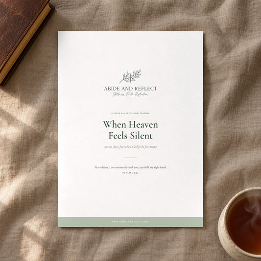 Comfort in the Storm — 3-Journal Bundle - Abide and Reflect
