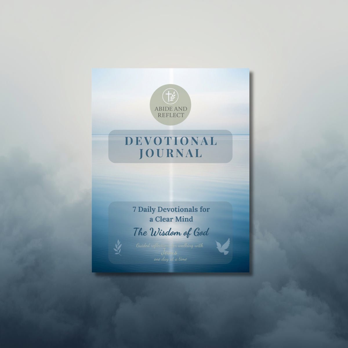 The Wisdom of God: 7 Daily Devotionals for a Clear Mind and Confident Decisions - Abide and Reflect